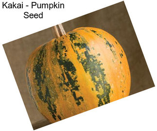 Kakai - Pumpkin Seed