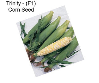 Trinity - (F1) Corn Seed