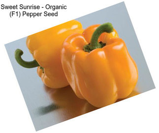 Sweet Sunrise - Organic (F1) Pepper Seed