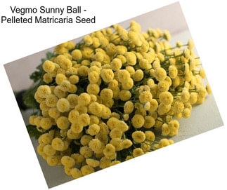 Vegmo Sunny Ball - Pelleted Matricaria Seed