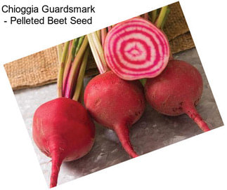 Chioggia Guardsmark - Pelleted Beet Seed