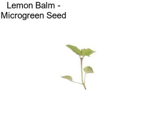 Lemon Balm - Microgreen Seed