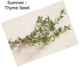 Summer - Thyme Seed