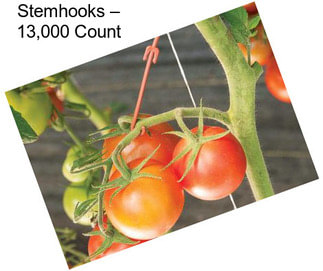 Stemhooks – 13,000 Count