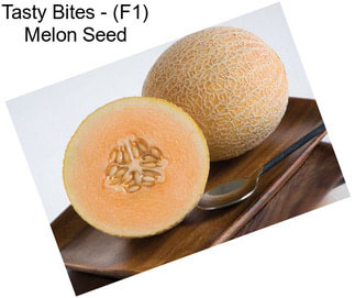 Tasty Bites - (F1) Melon Seed