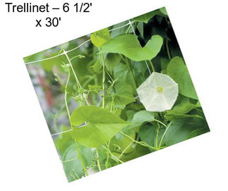 Trellinet – 6 1/2\' x 30\'