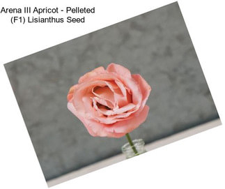 Arena III Apricot - Pelleted (F1) Lisianthus Seed
