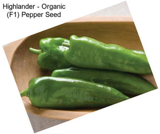 Highlander - Organic (F1) Pepper Seed