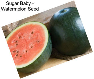 Sugar Baby - Watermelon Seed