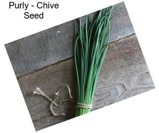 Purly - Chive Seed