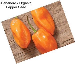 Habanero - Organic Pepper Seed