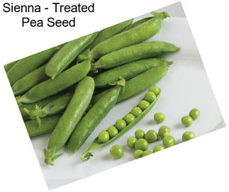 Sienna - Treated Pea Seed
