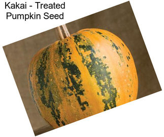 Kakai - Treated Pumpkin Seed
