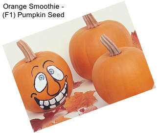 Orange Smoothie - (F1) Pumpkin Seed