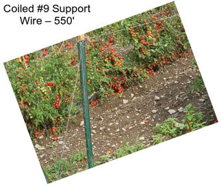 Coiled #9 Support Wire – 550\'
