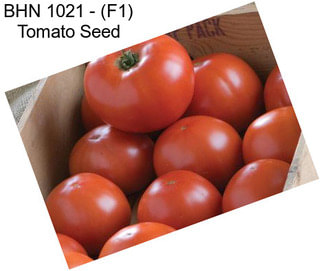 BHN 1021 - (F1) Tomato Seed