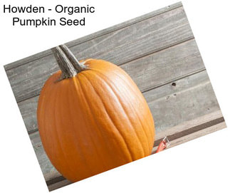 Howden - Organic Pumpkin Seed