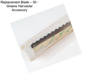 Replacement Blade – 30\