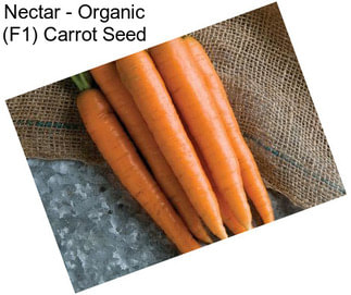 Nectar - Organic (F1) Carrot Seed