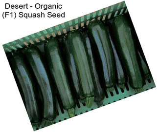 Desert - Organic (F1) Squash Seed