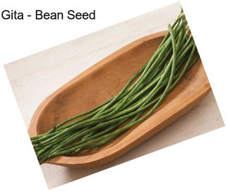 Gita - Bean Seed