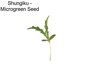 Shungiku - Microgreen Seed