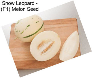 Snow Leopard - (F1) Melon Seed