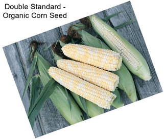 Double Standard - Organic Corn Seed