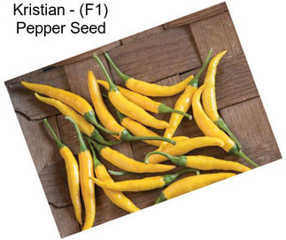 Kristian - (F1) Pepper Seed