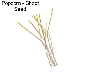 Popcorn - Shoot Seed