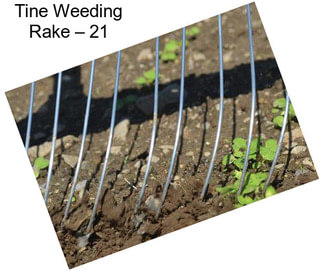 Tine Weeding Rake – 21\