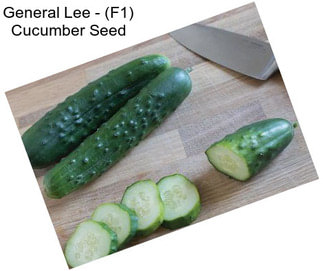 General Lee - (F1) Cucumber Seed