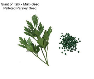 Giant of Italy - Multi-Seed Pelleted Parsley Seed