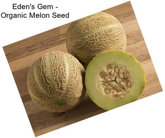 Eden\'s Gem - Organic Melon Seed