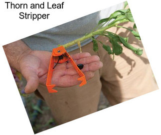 Thorn and Leaf Stripper