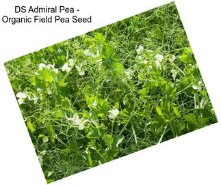 DS Admiral Pea - Organic Field Pea Seed