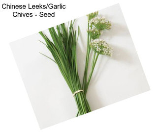 Chinese Leeks/Garlic Chives - Seed