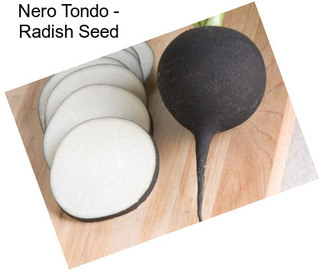 Nero Tondo - Radish Seed