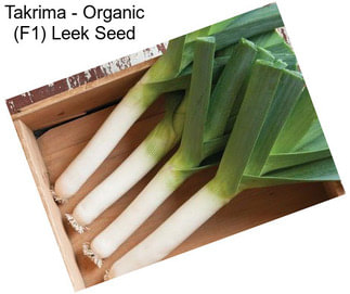 Takrima - Organic (F1) Leek Seed