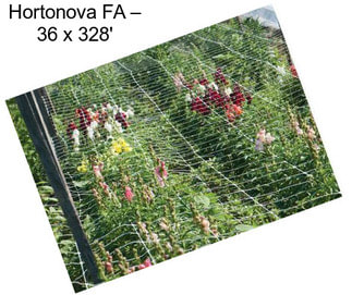 Hortonova FA – 36\