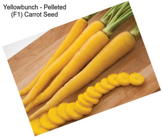 Yellowbunch - Pelleted (F1) Carrot Seed