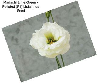 Mariachi Lime Green - Pelleted (F1) Lisianthus Seed