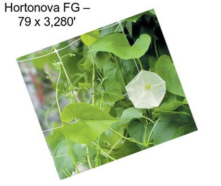 Hortonova FG – 79\