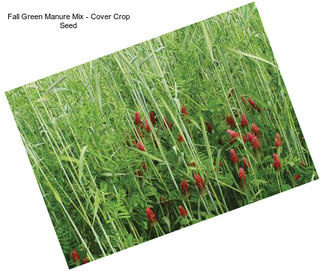 Fall Green Manure Mix - Cover Crop Seed