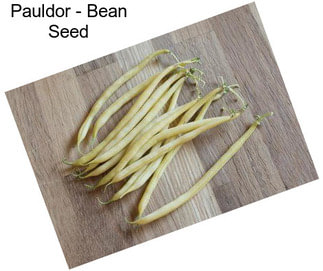 Pauldor - Bean Seed