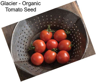 Glacier - Organic Tomato Seed