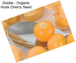 Goldie - Organic Husk Cherry Seed