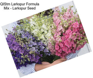 QIStm Larkspur Formula Mix - Larkspur Seed