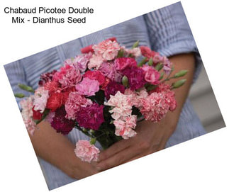 Chabaud Picotee Double Mix - Dianthus Seed