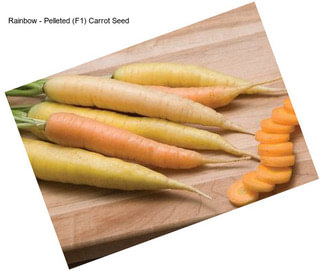 Rainbow - Pelleted (F1) Carrot Seed